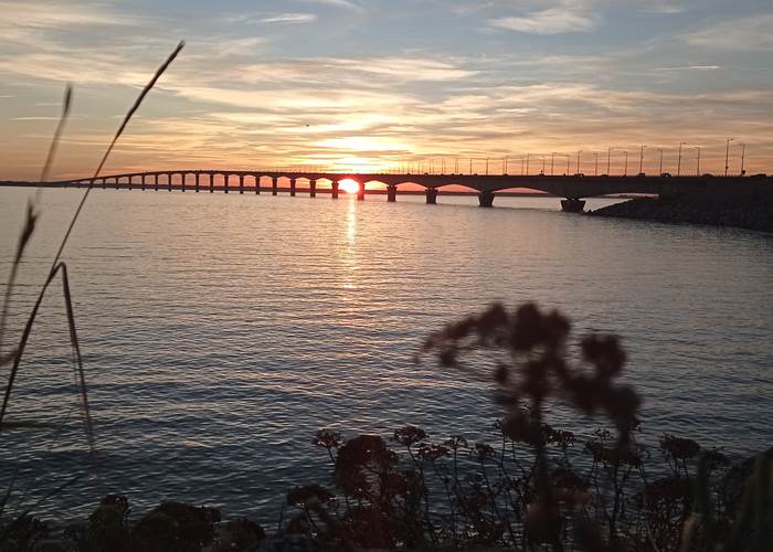 Coucher de soleil pont île de Ré