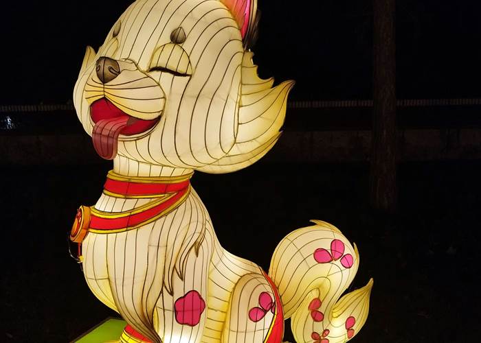 Signe chinois du Chien