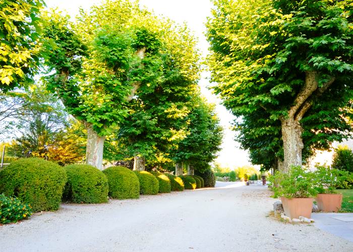Allée du Manoir