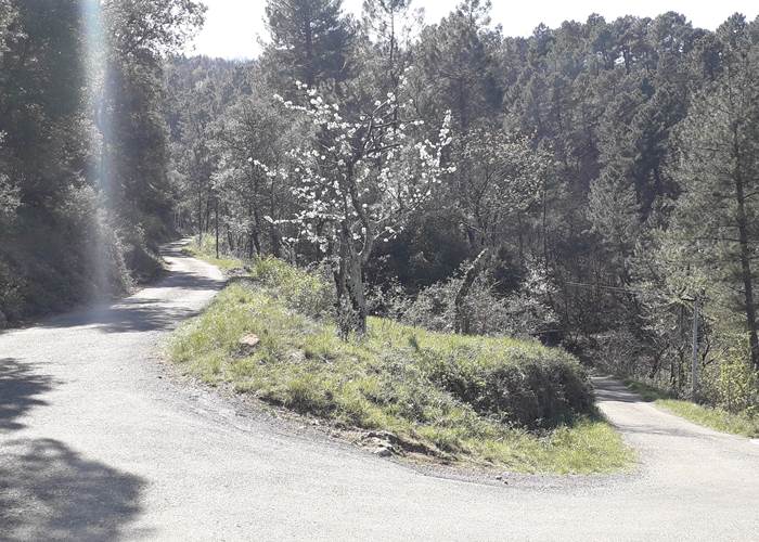 Chemin de randonnée...