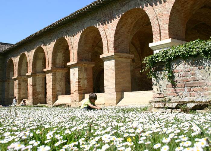 abbaye-de-belleperche-cloitre-©CEM