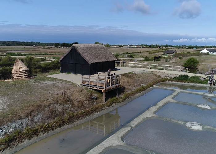 fromentine-labarredemonts (2)