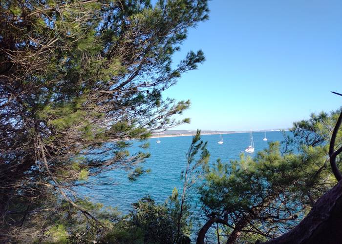 Les falaises de Leucate