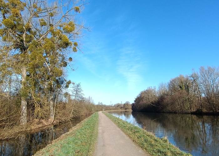 Les bords de Somme à Abbeville