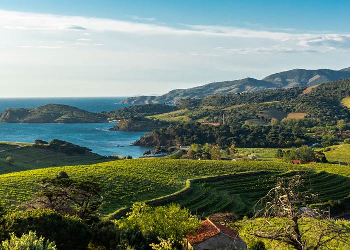 le vignoble-occitanie-gaillac-marssac-albi