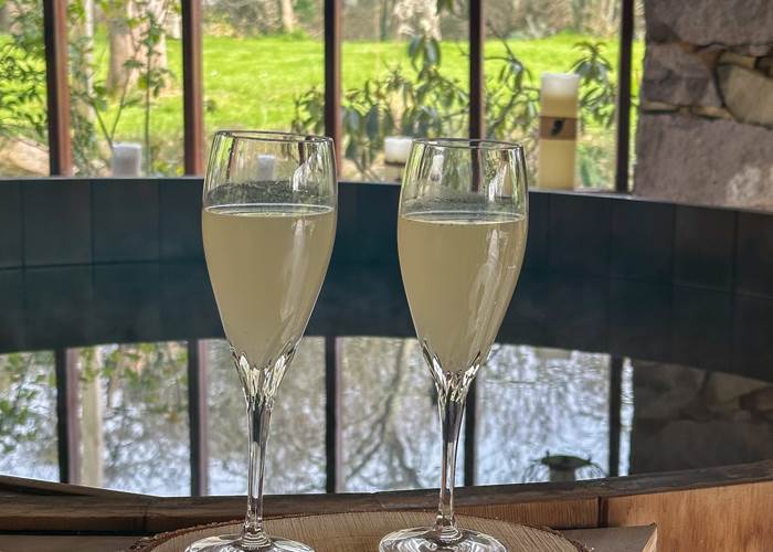 Déguster un pétillant au mimosa fait maison dans ce cadre bucolique et reposant