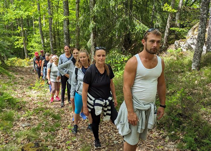 Marche en conscience en forêt-news