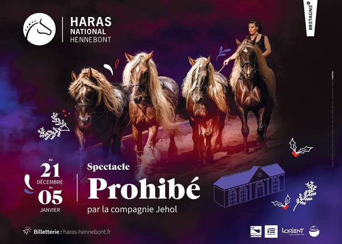 Spectacle de Noël - Haras National d'Hennebont