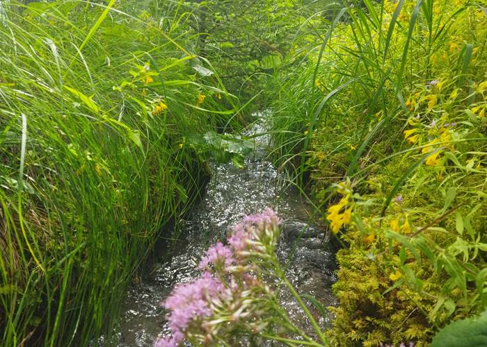 Canal de la Pisse-page