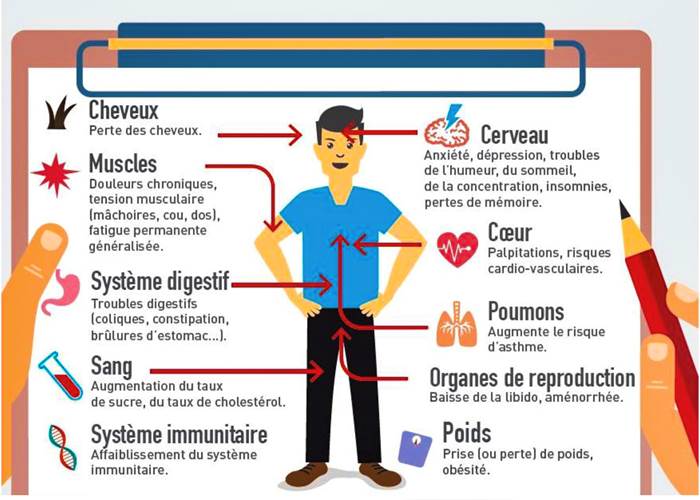 de quelques symptômes causés par le stress chronique
