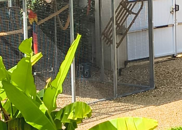 perroquets maison d’hôtes La Flèche expérience unique Sarthe