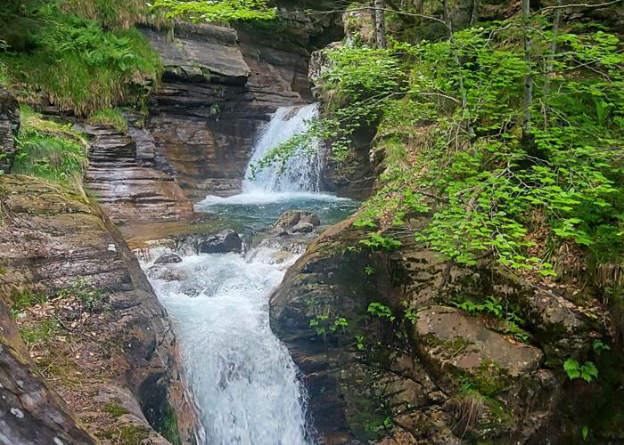 Cascade dans le foret - Vallee du Lys