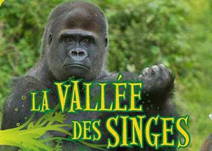 vallee-des-singes-7-page