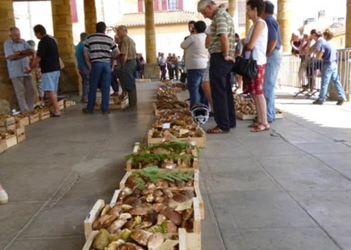 Marché aux Cèpes Villefranche du Périgord