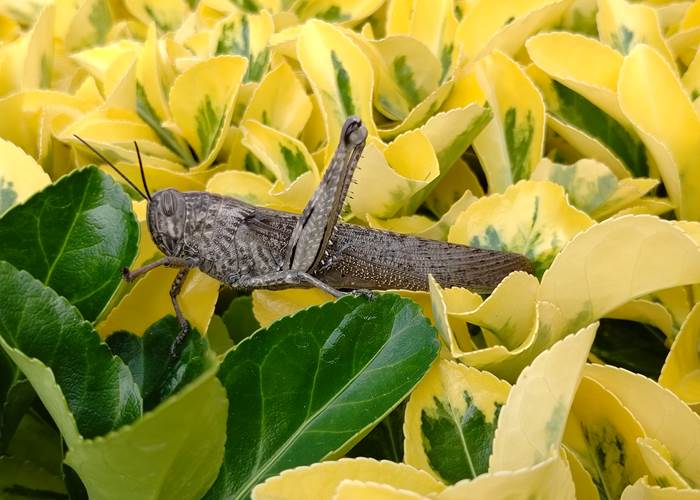 L'été est de retour et moi aussi ☀️☀️