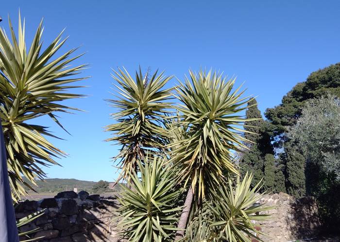 Le printemps est de retour au gîte et chambres d'hôtes "Le Coq du Nord Mailhac"