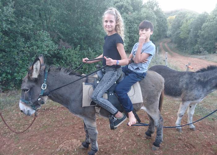 Jeux avec les ânes