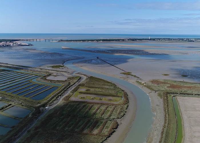 fromentine-labarredemonts (3) (1)