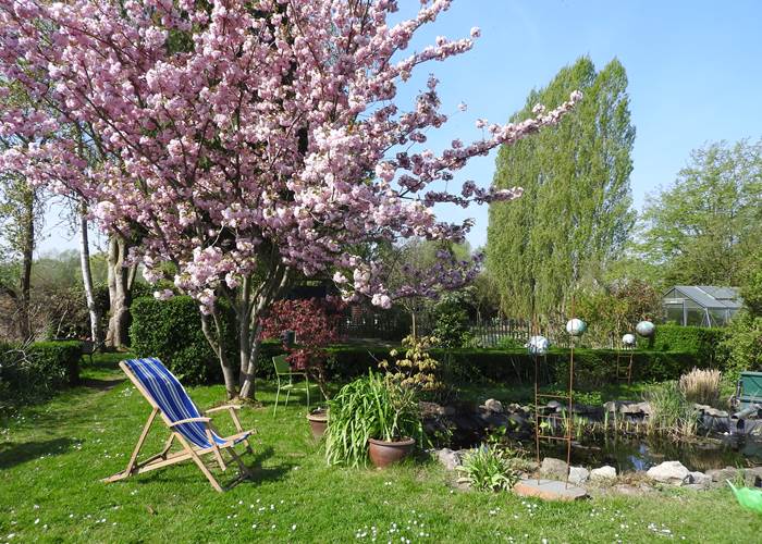 Jardin 3