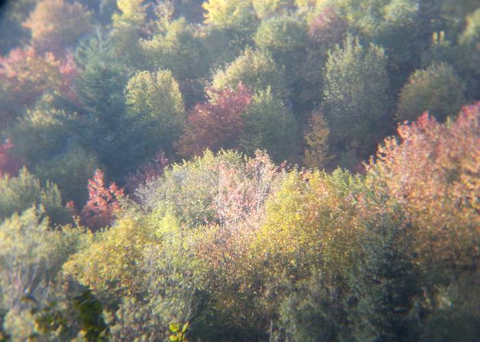 Soleil d'automne
