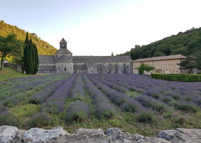 Abbaye de Senanque près de Gordes Luberon