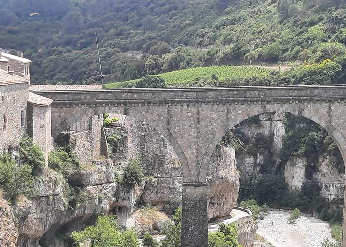 Minerve
