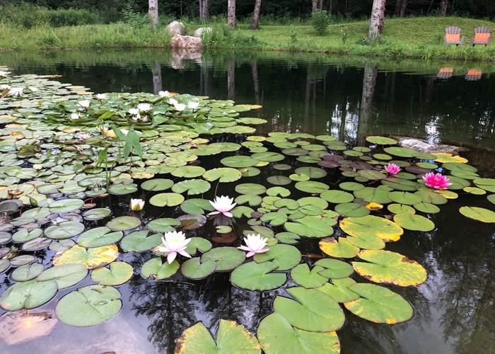 le lac