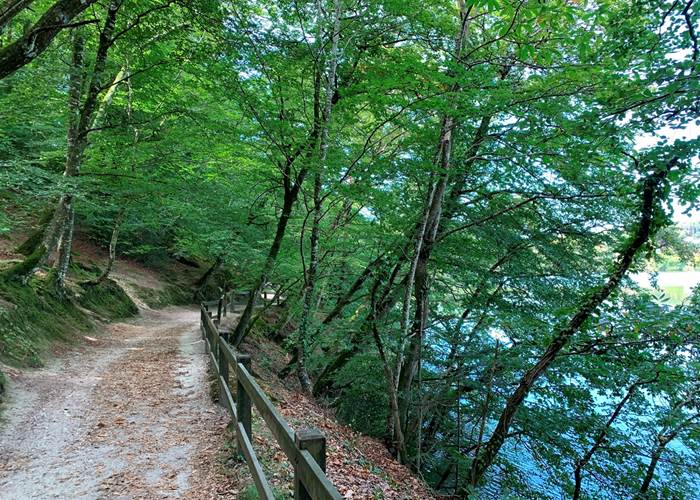 Ploemeur - Etangs et bois du Ter - 4