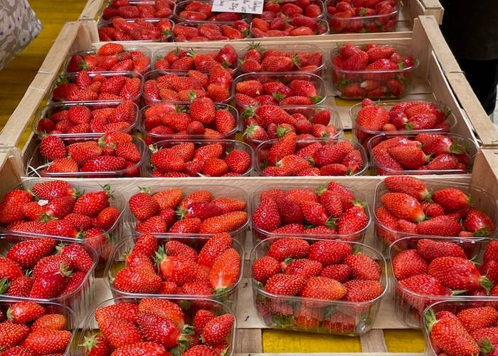 fraisesduperigord-sarlat-produitduterroir-page