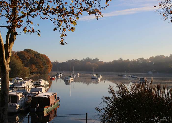 le port de Sucé sur Erdre