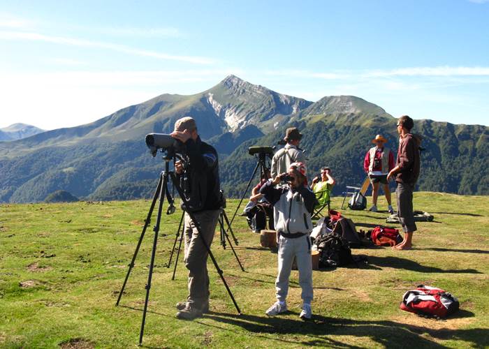 Visite_comptage oiseaux migrateurs avec la LPO