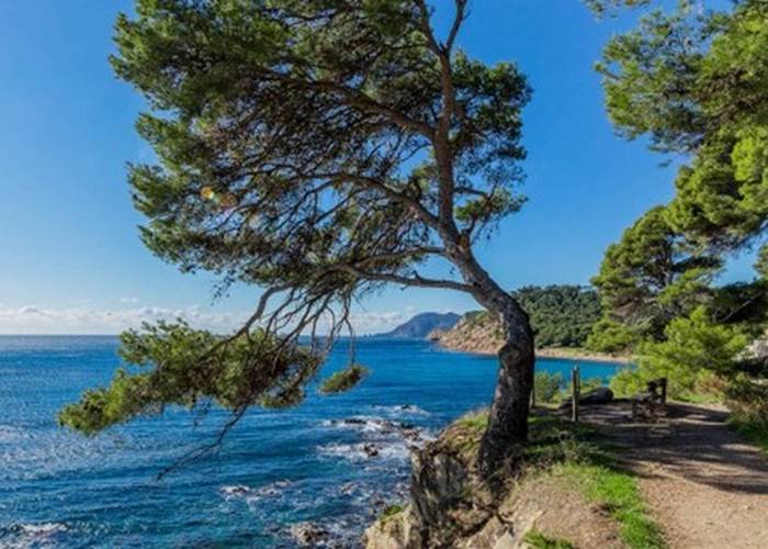 Sentier du littoral Saint Mandrier
