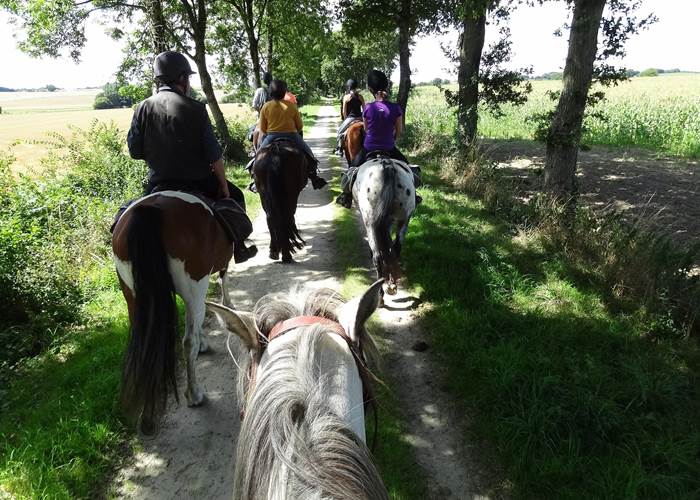 Randonnée à cheval