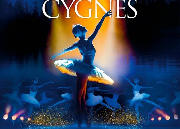 2025 Lac des cygnes ©@Indigo