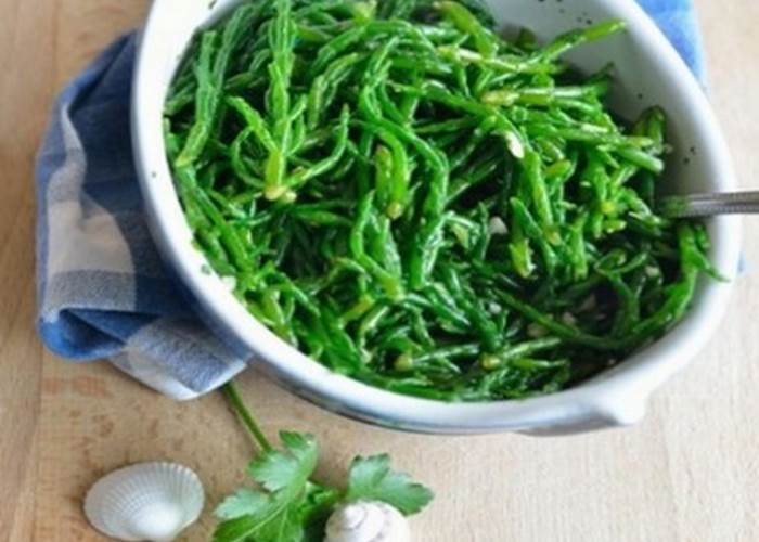 Les Salicornes de la Baie de Somme.