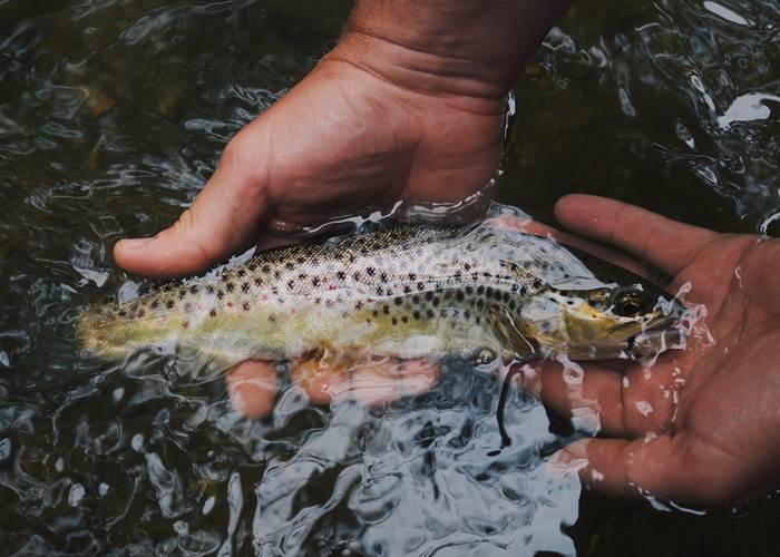 60 - hunter-brumels-760768-unsplash