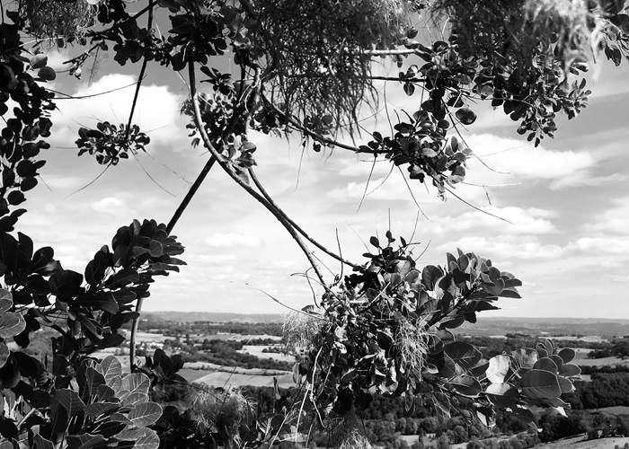 Vue depuis le jardin du château de Turenne