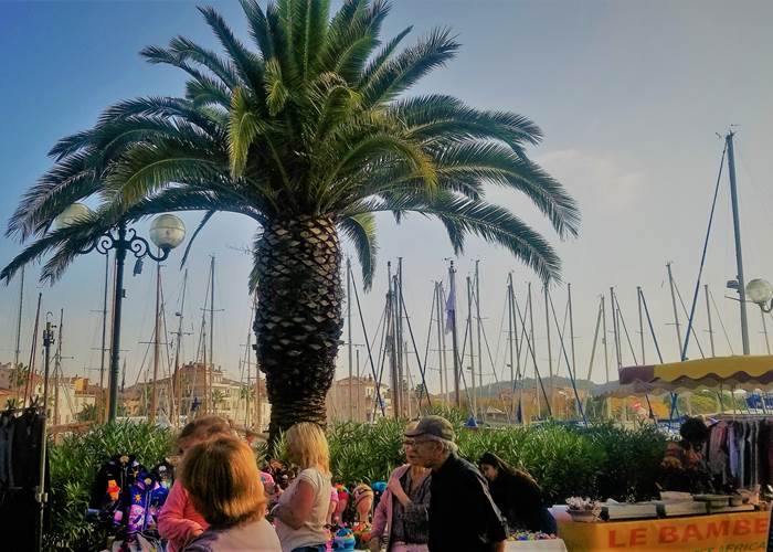 Marché de Sanary