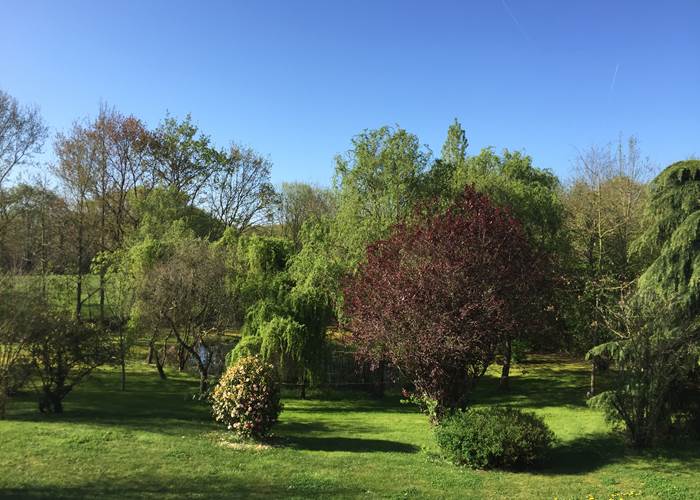 jardin