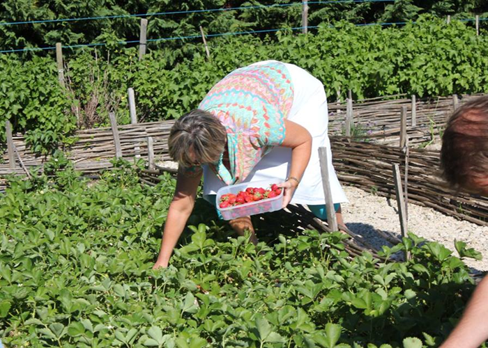 Cours de cuisine au mas des figues