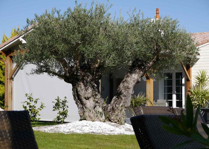 Jardin maison d'hôtes Une Escale à Pornic