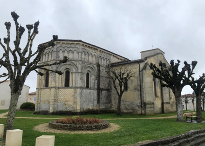 Image11
