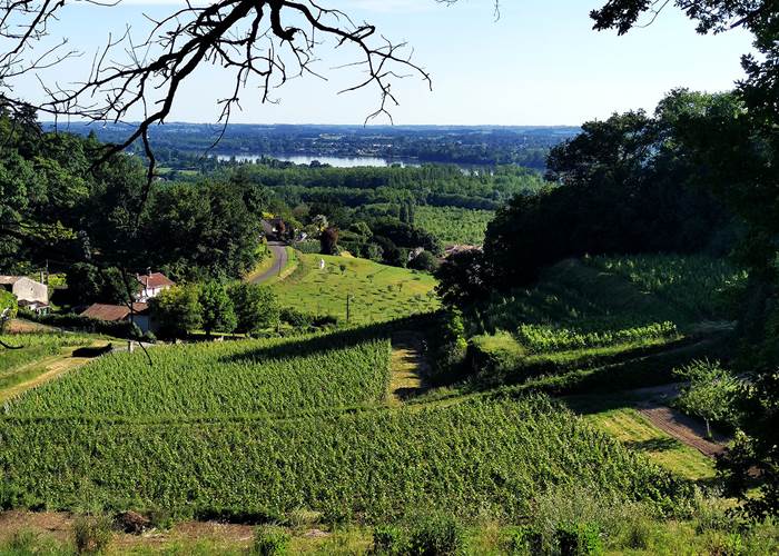 Vue sur la Dordogne