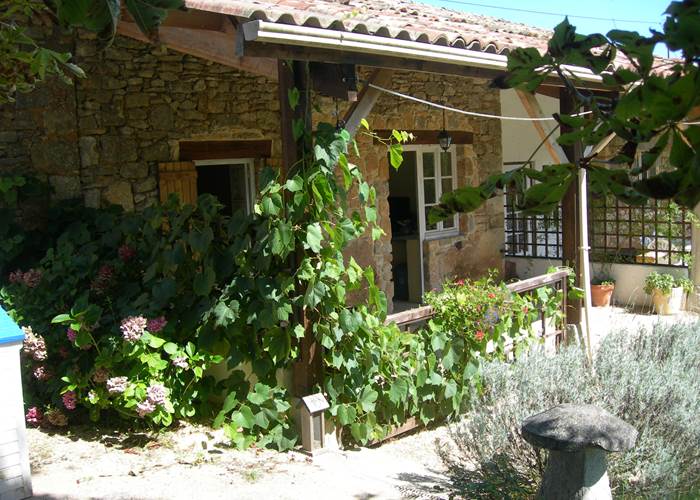 Le Chêne