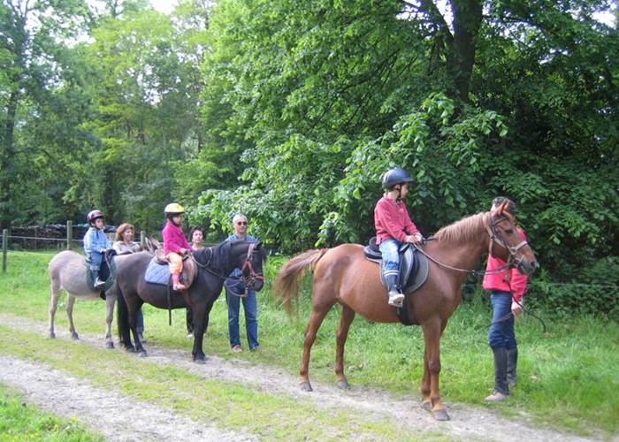 Château de Behen Chevaux