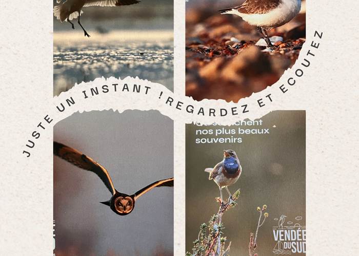 Sorite du guide touristique Vendée du Sud 2025