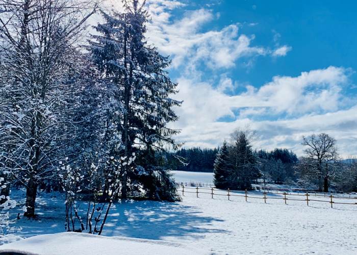 chambresdhote-foret-beautesimple-nature-campagne-hautecorreze