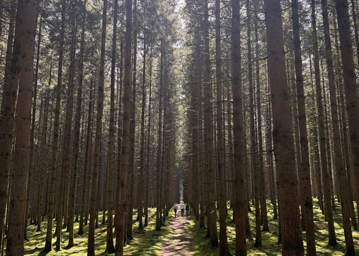 wandelen-kinderen-chimay-riezes
