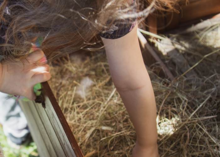 activite-ferme-enfant-famille-aveyron