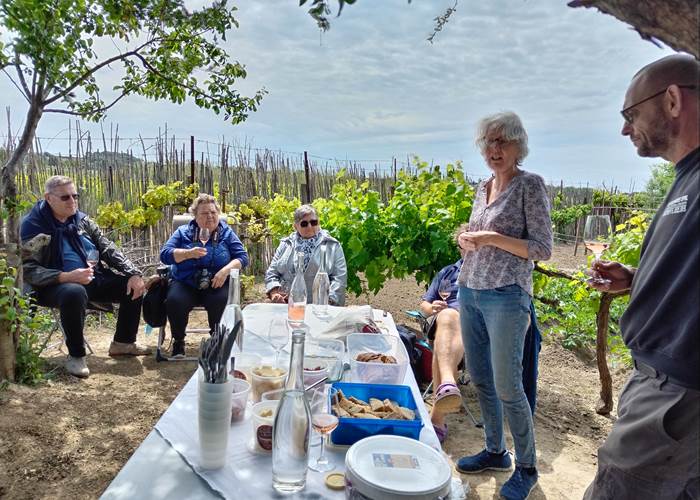 Dégustation des vins du domaine La Tasque au sein du potager Le Coq du Nord-Mailhac